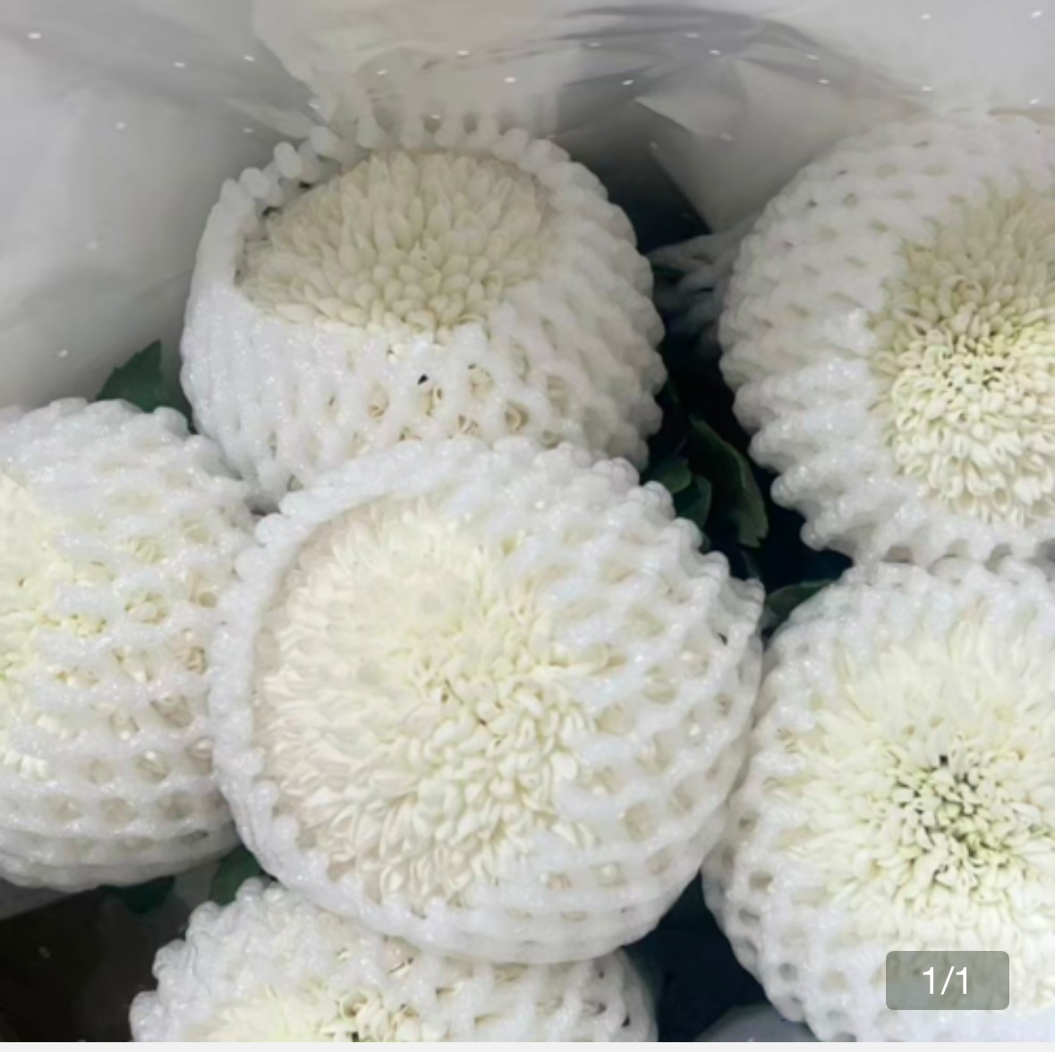 Step 2 - choose flower filler