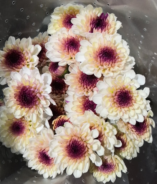 Step 2 - choose flower filler