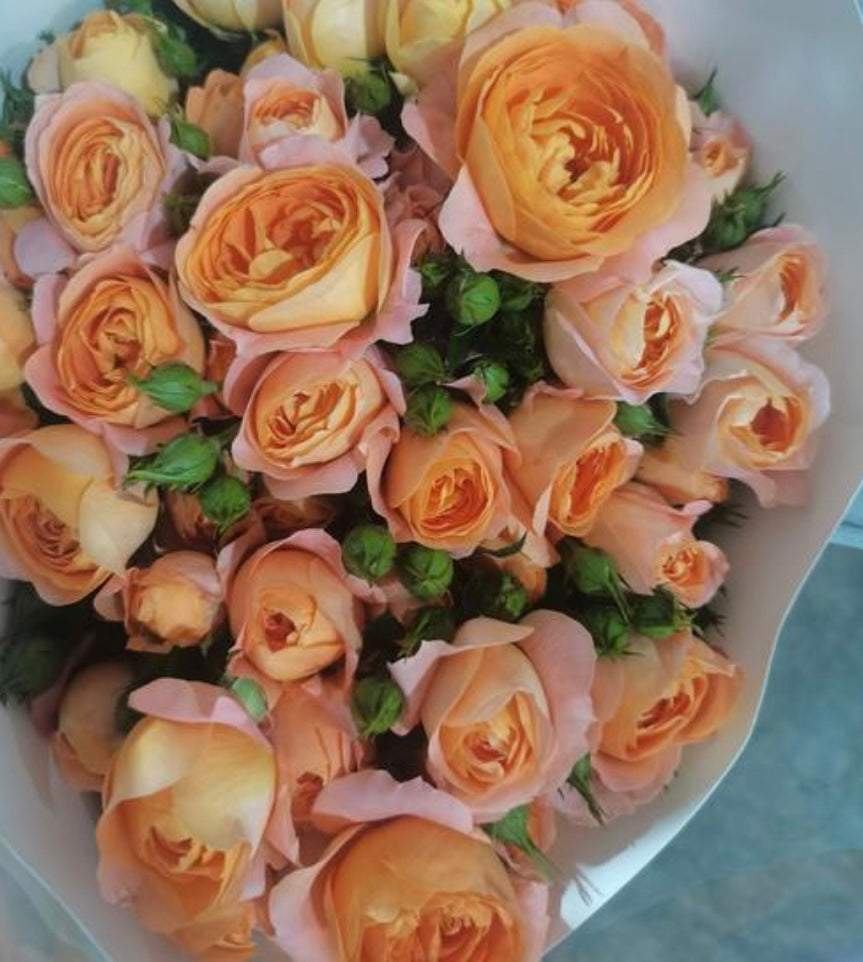 Rose -Juice Platform